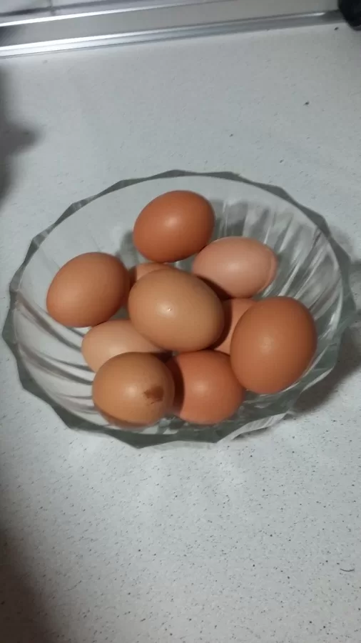 huevos caseros