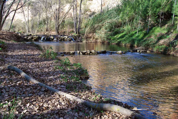 RÍO BUÑOL